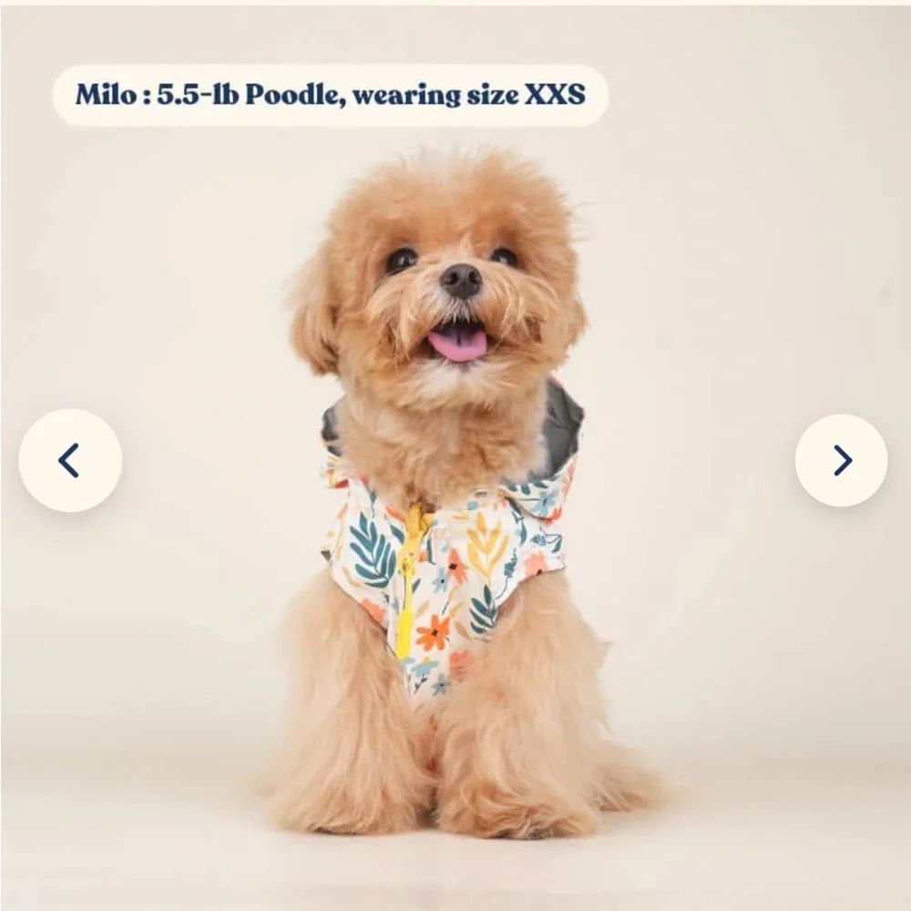 🌼 Sniff & Bark Yellow Floral Reversible Zoomies Rain Vest™ - Picture 2 of 12